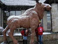 photos 2000-200902233